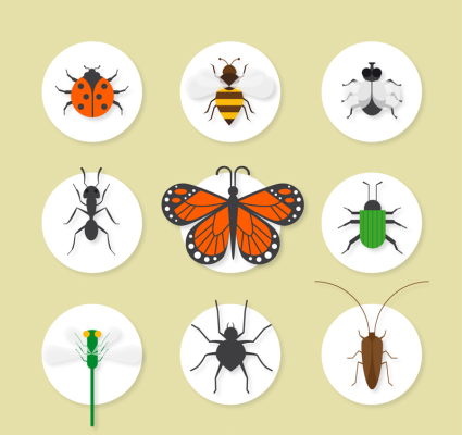 9 exquisite insect icon vector material