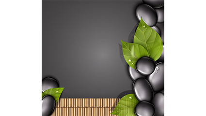 Black pebbles and leaves background vector