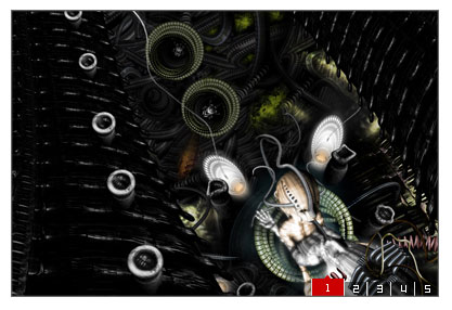 Common focus image flash ad code