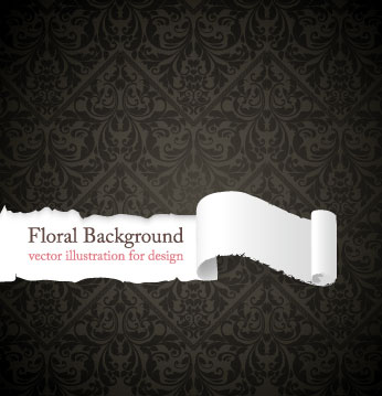 European gorgeous shading vector