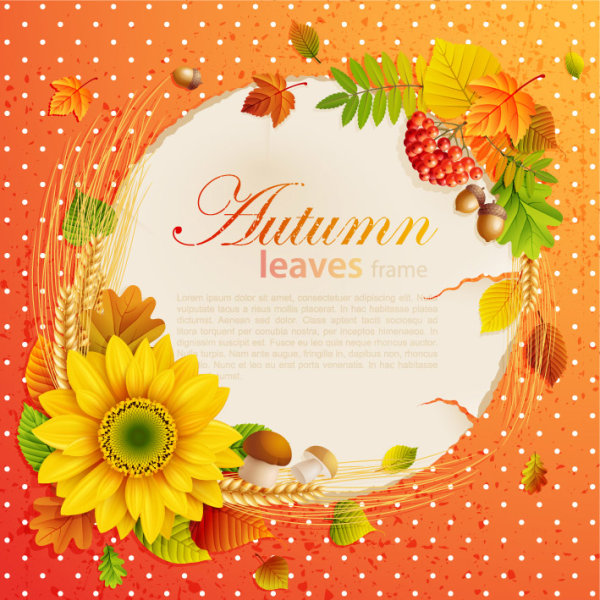 Beautiful autumn leaves frame background 05-- vector material