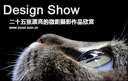 25 Beautiful Macro Photography Shots