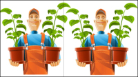Garden pruning work 02 - vector material