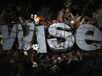 English Font Design appreciation