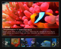 SlideShow Web Album code (JS + CSS)