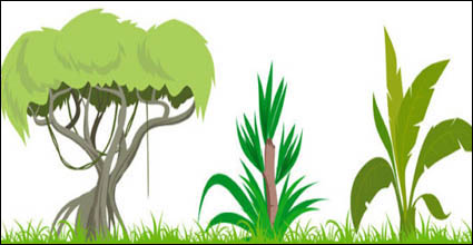 Tree vector material subject