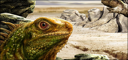 Featured psd lizards layered material
